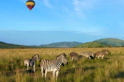 Pilanesberg Ulusal Parkı