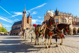 Krakow Ana Meydanında At Arabaları