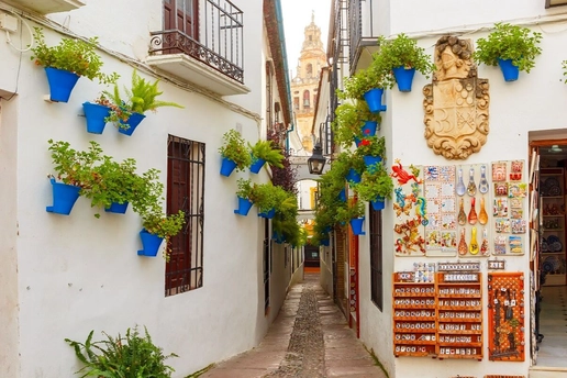 Calleja de las Flores