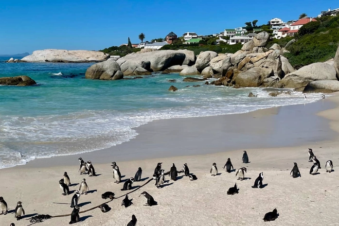 Boulders Beach