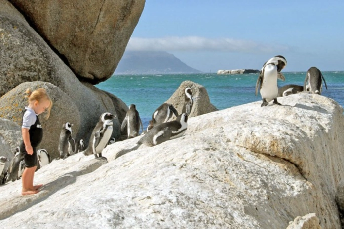 Boulders Beach