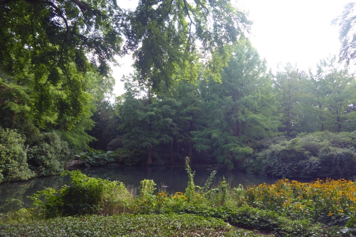 Bremen Botanik Parkı