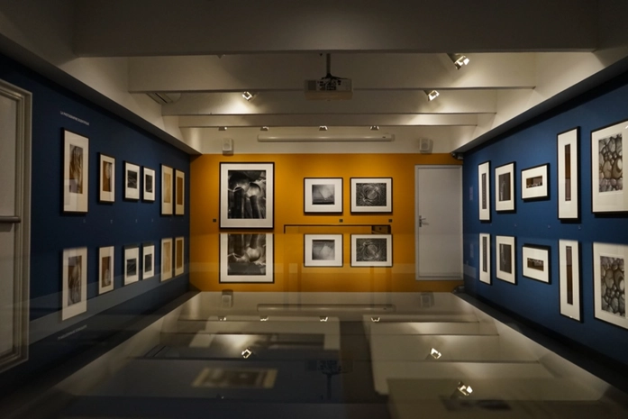 Charles Nègre Fotoğrafçılık Müzesi