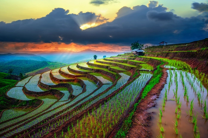 Chiang Mai’ye Ne Zaman Gidilir?