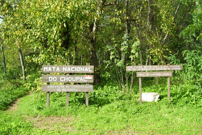 Choupal Ulusal Ormanı