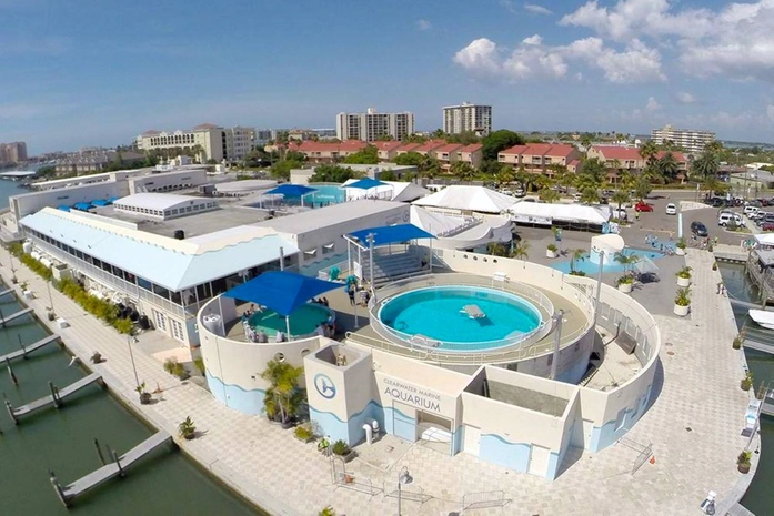 Clearwater Marine Aquarium