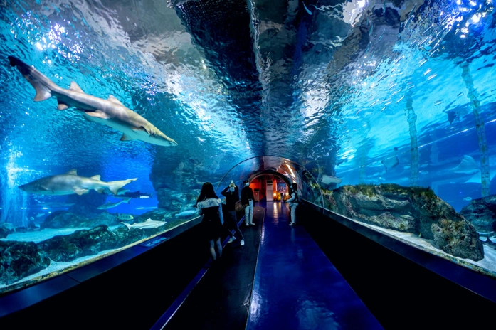 COEX Aquarium