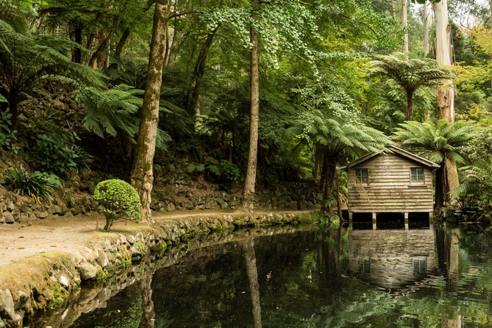 Dandenong Ranges Ulusal Parkı