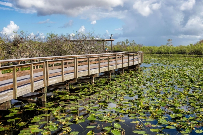 Everglades