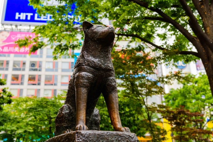 Hachiko Anıt Heykeli