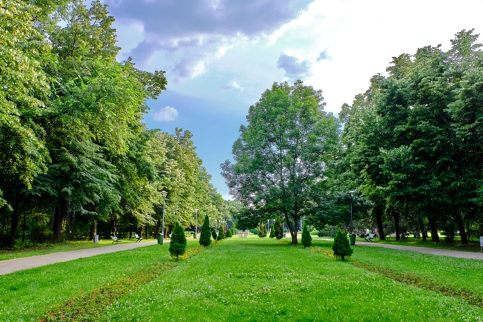 Herăstrău Parkı