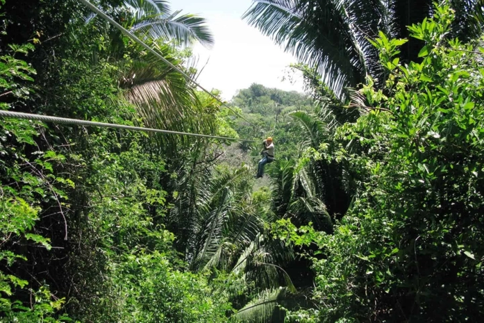 Jungle Top Adventures Zipline