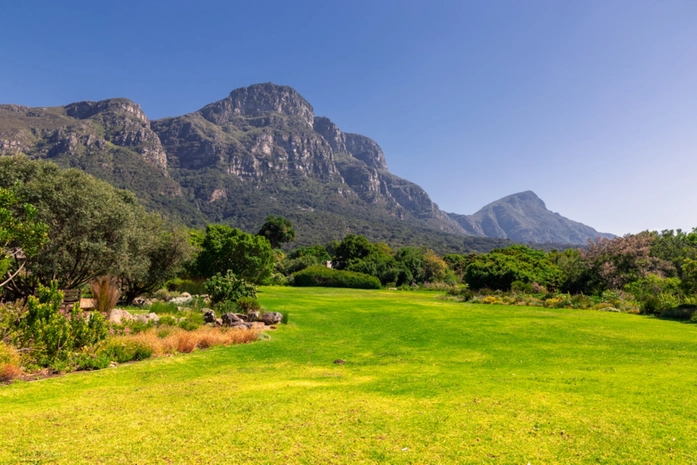 Kirstenbosch Ulusal Botanik Bahçesi