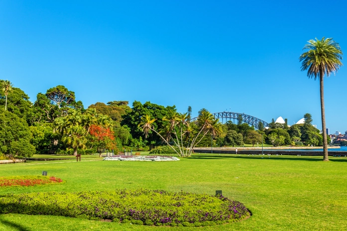 Kraliyet Botanik Bahçesi Sidney