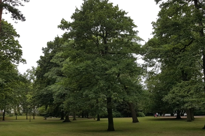 Kur Park Warnemünde