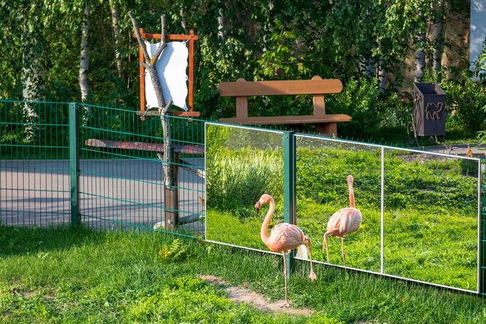 Limpopo Hayvanat Bahçesi