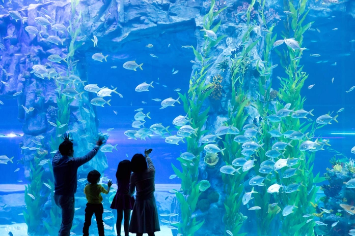 Lotte World Aquarium