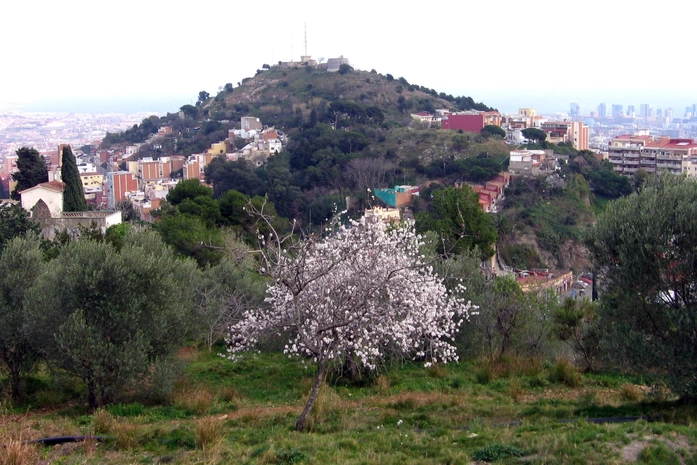 MUHBA Turo de la Rovira