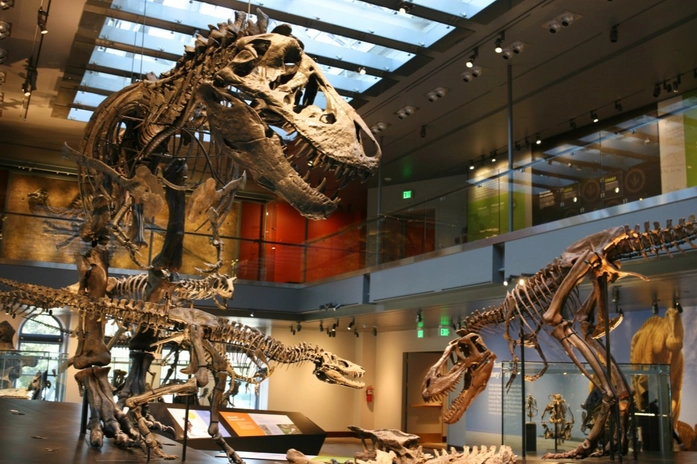 Natural History Museum of Los Angeles County(NHM)