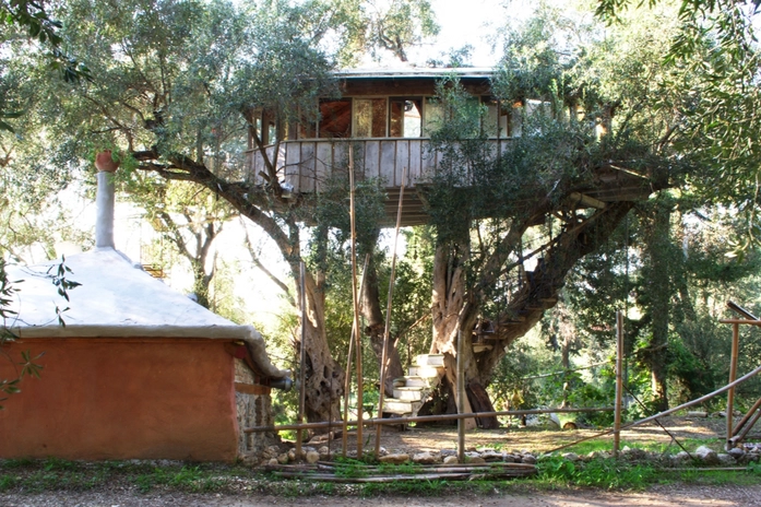 Olive Wood House