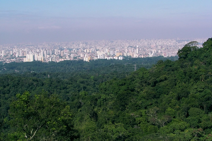 Parque Estadual da Cantareira - Nucleo Pedra Grande