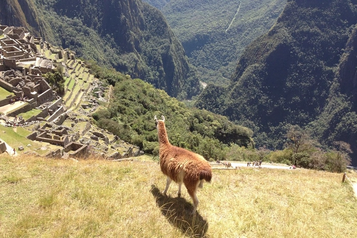 Piskakuchu Machu Picchu