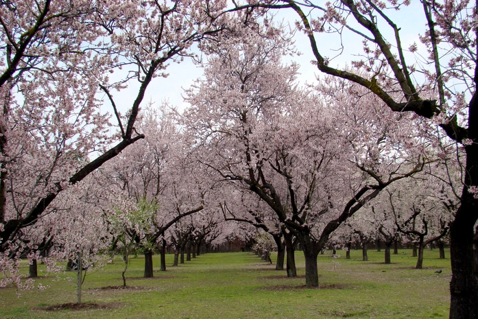 Quinta de los Molinos park