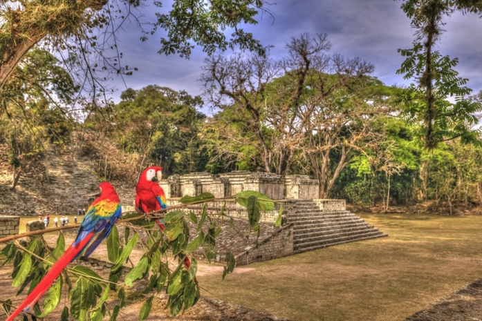 Santa Rosa de Copan Hakkında