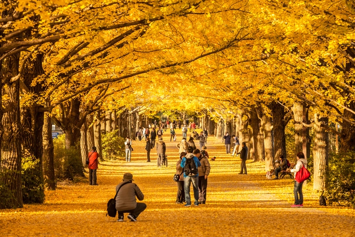 Showa Hatıra Ulusal Hükümet Parkı