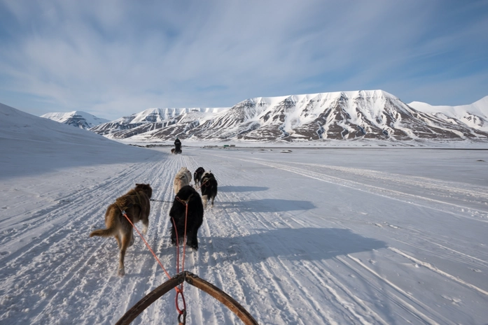 Svalbard Husky AS
