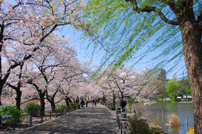 Ueno Parkı