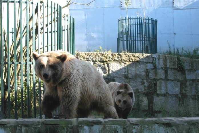 Vigo Hayvanat Bahçesi