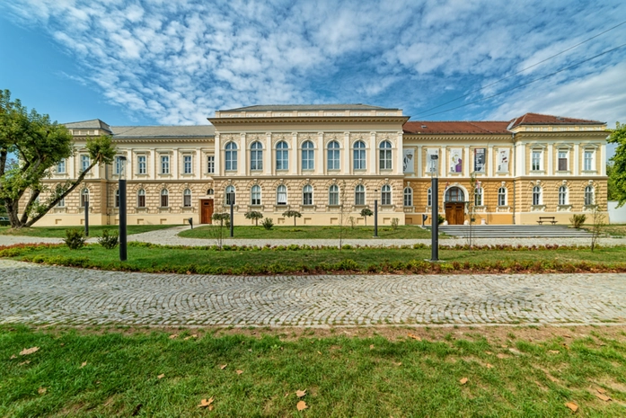 Voyvodina Müzesi